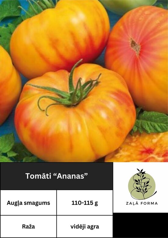 Ananas