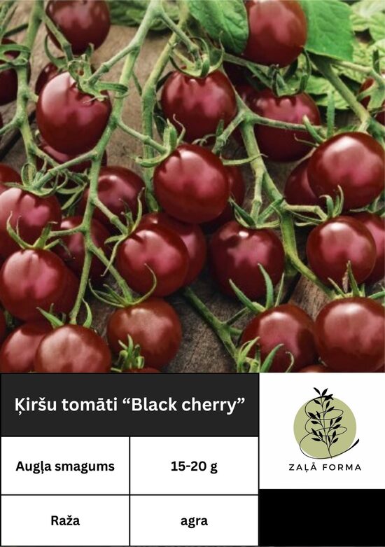 Black cherry