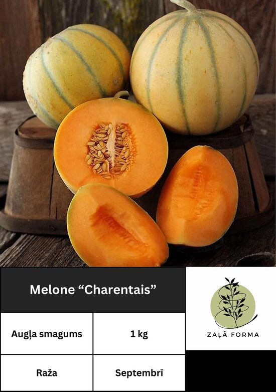 Charentais