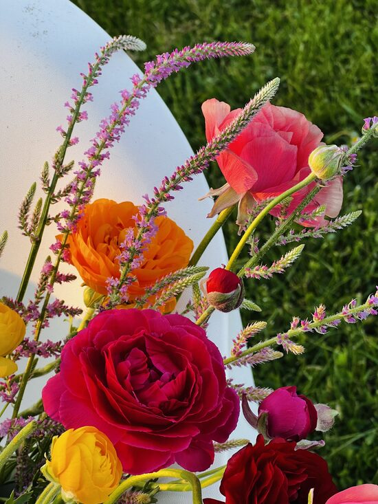 Āzijas gundegu gumi